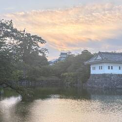Die Fischreiher und der Rabe im Baum verbringen wohl die Nacht im Park der Burg von Odawara.