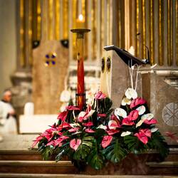 Metropolitan Cathedral of St. Peter — Bologna, Italy.