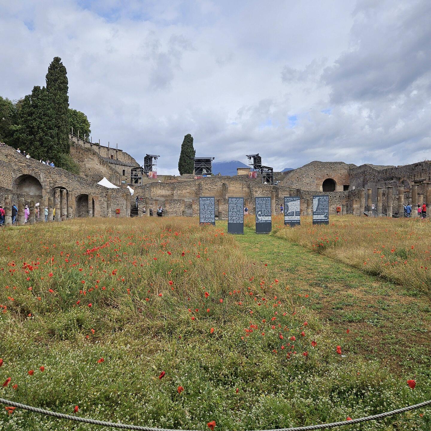 Gladiator exercise area and housing