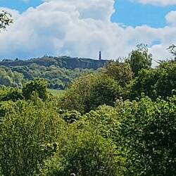 Crich Tower visible far above