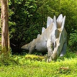 Obviously there are stegosaurus round here