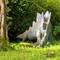 Obviously there are stegosaurus round here
