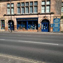 An aquarium and - more quirkiness - a hologram museum