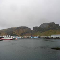 Haven Vestmannaeyjar