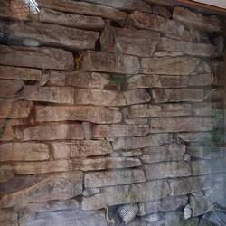 Collage in the wall at the barn with fossils and toys