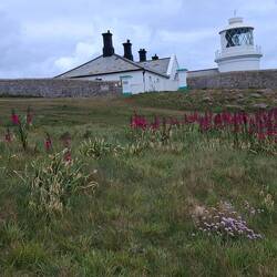 Lighthouse you can stay in Durlston nature reserve