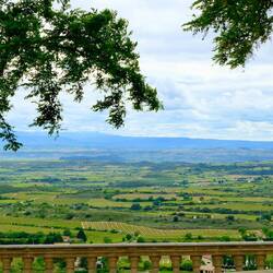 Blick über die Weinberge in der Region Rioja