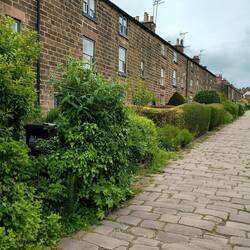 This cobbled street held mill workers' cottages complete with Topshop for home working