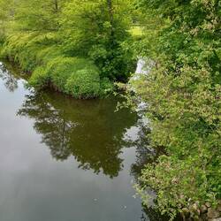 Confluence of Rivers Derwent and Amber