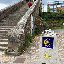 Greeted by stairs! 😳