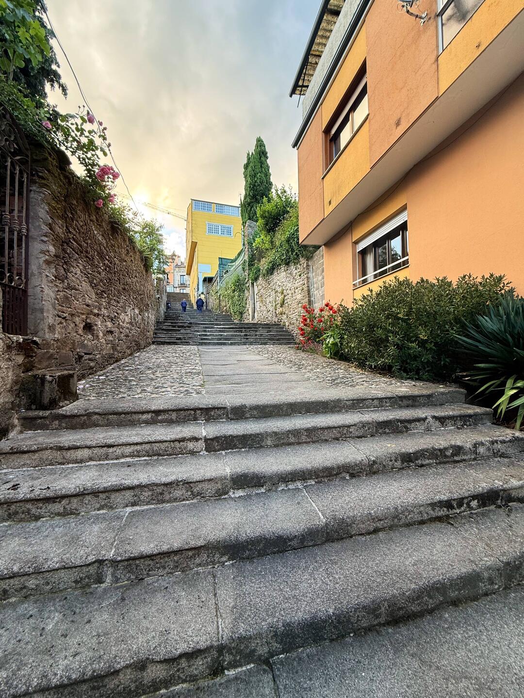 Steps out of Sarria