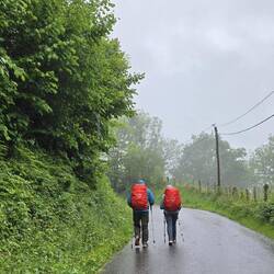 On the way to Roncesvalles