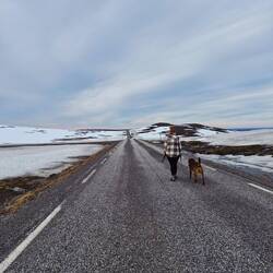 wir haben die schnautze voll, wir laufen zum nordkapp🤣