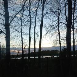 Ruhe und Stille hinterm Camper,nur ein paar Gänse sind zu hören...