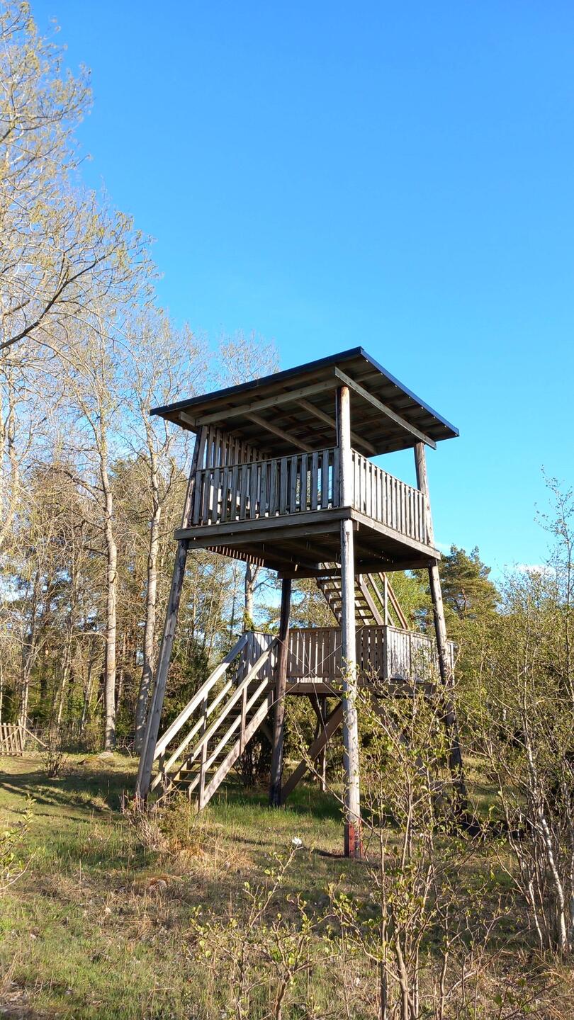 Aussichtsturm Vogelschutzgebiet Korsanäs,auf geht's,rauf geht's...