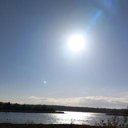...die Abendsonne gibt ihr Bestes...