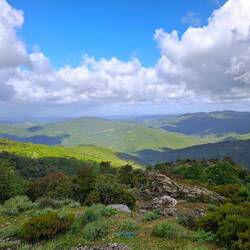 Landschaft...