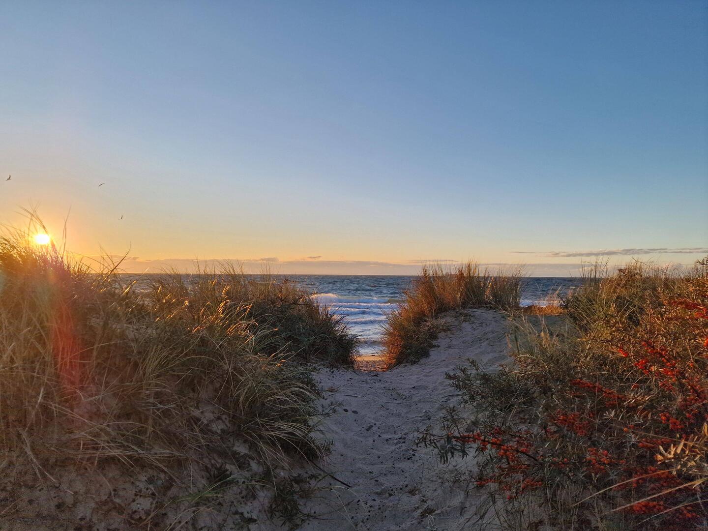 Guten Morgen Skagen ☺️