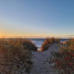Guten Morgen Skagen ☺️