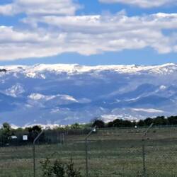 Nein, nicht alles Wolken !!!! Schnee auf den Gipfeln der Sierra Nevada!!