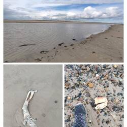 Etwas Strandgut