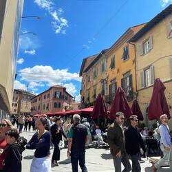 Pisa