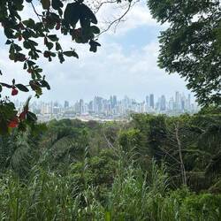 Metropolitan Natural Park Parque Natural Metropolitano