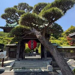 Eine wunderschöne Anlage - der Hase Kanon Tempel in Kamakura