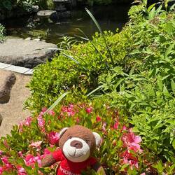 im Garten kann man sich wohlfühlen
