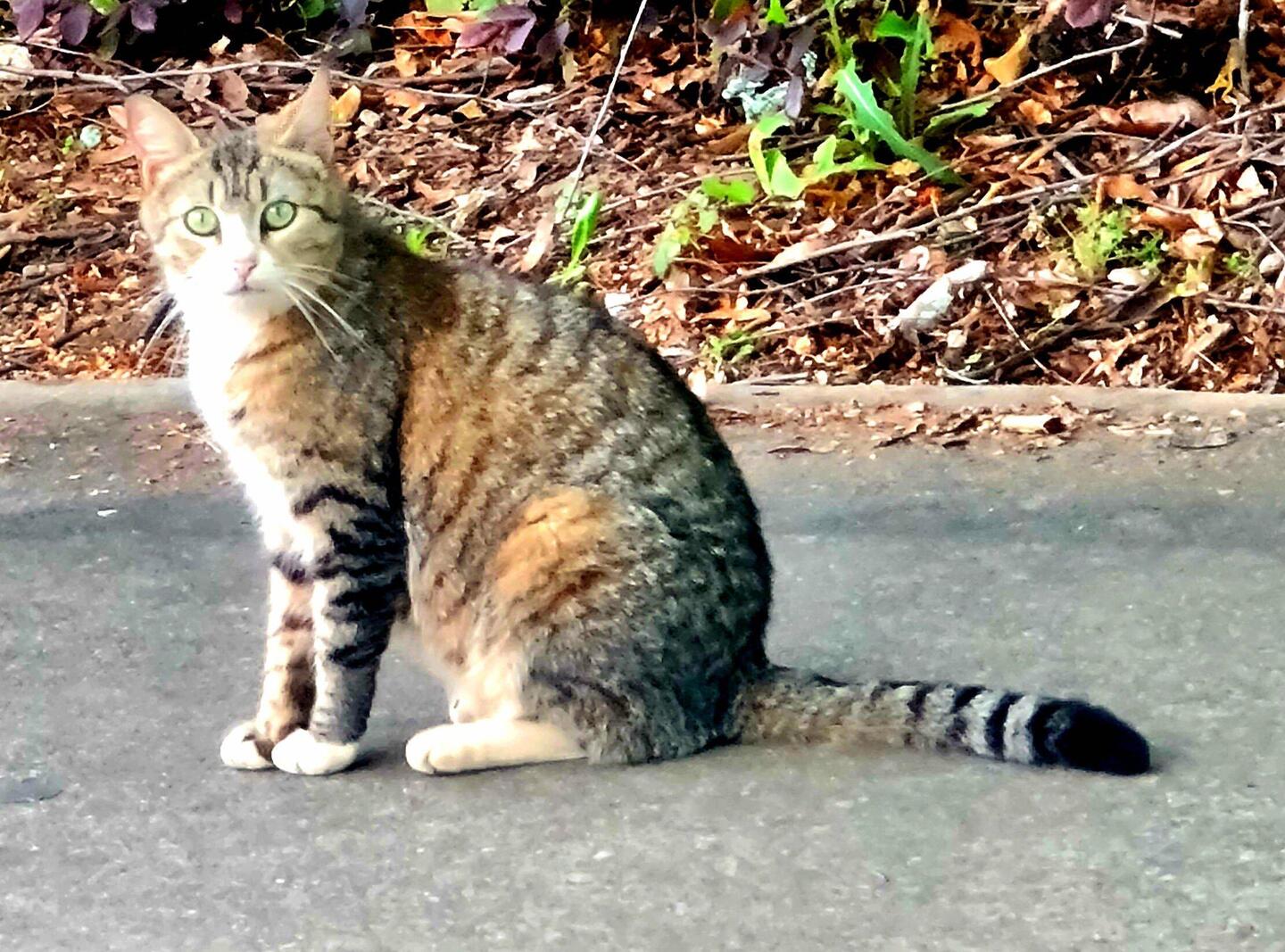 Besucher auf dem Parkplatz