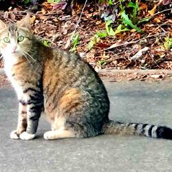 Besucher auf dem Parkplatz