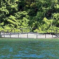 Not sure what this is. Saw it while leaving Thurson Bay Marine Park