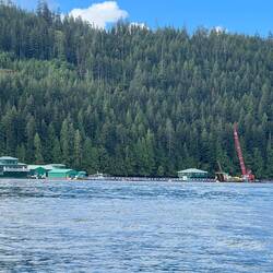 Large Fish Farm operation
