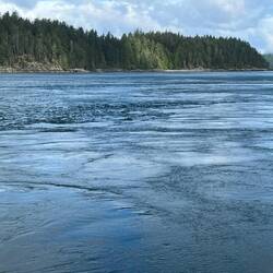 Boiling water and tidal rips at Upper Rapids