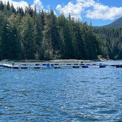 Someone on Active Captain referred to this as a fishing facility...
