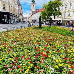 Jardines... lo típico en Austria