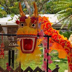 Local festival at El Majuelo Park (colorful dragon)