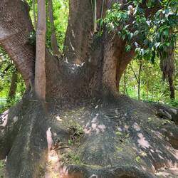 Der Thron der Artemis im National Garden