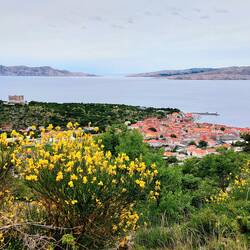 Senj