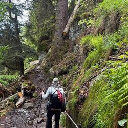 Entlang der Steilwand