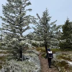 Auf dem Weg zum Col de la Schlucht