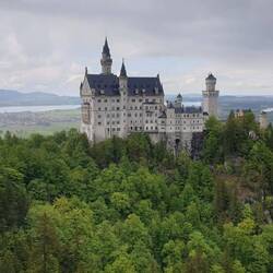 Das Schloss solo