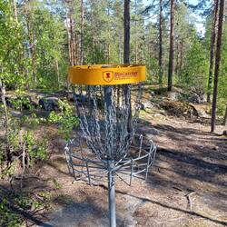 Frisbeegolfkörbe