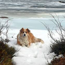 Nel suo abitat naturale...❄❄