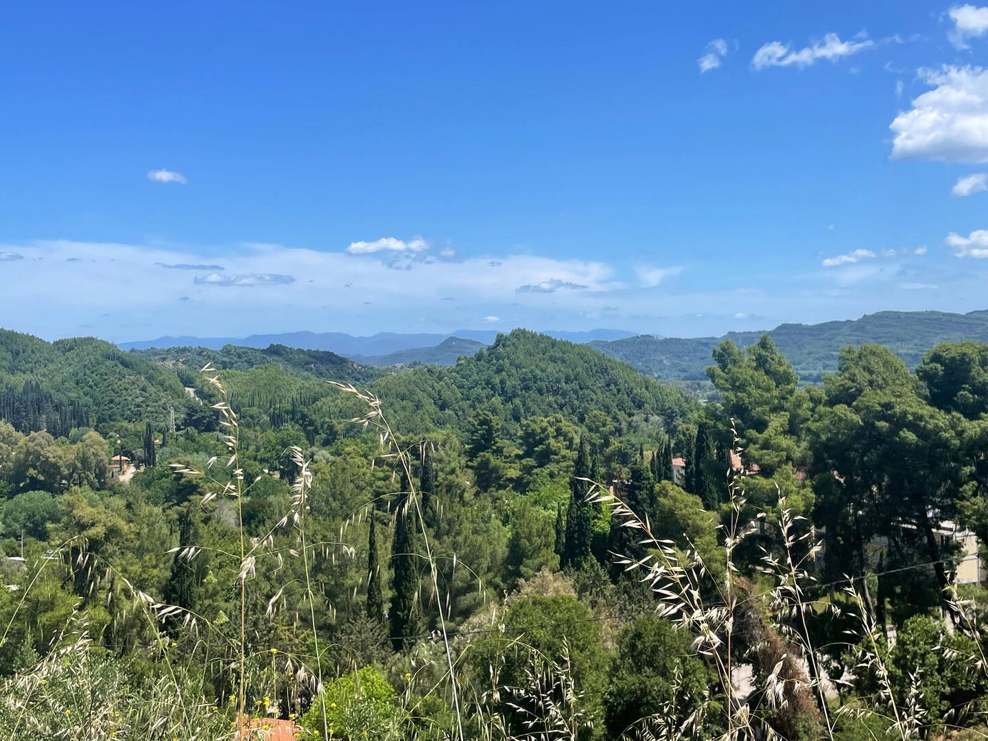 der Campingplatz liegt schön auf einem Hügel mit Blick aufs Tal