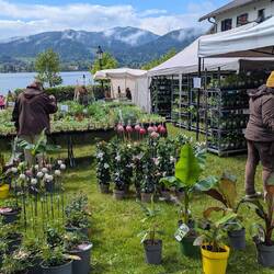 Es ist gerade Markt