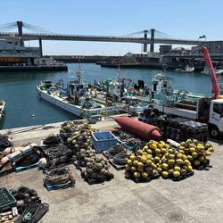 Der Hayakawa-Fischerhafen von Odawara.
