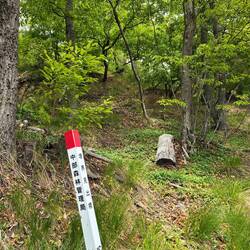 A hike in the hills above Matsumoto, and neighboring Asama Onsen