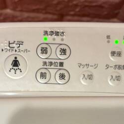 Bathe any part of your pertinent anatomy while sitting on a lovely warm seat!