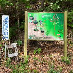 The trailhead. I borrowed a bamboo pole--it helped enormously.